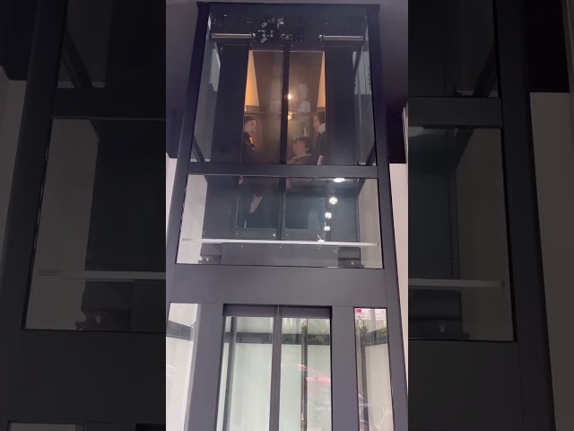 320kg Hairline Steel Villa ลิฟต์บ้านที่อยู่อาศัย 0.4m / S